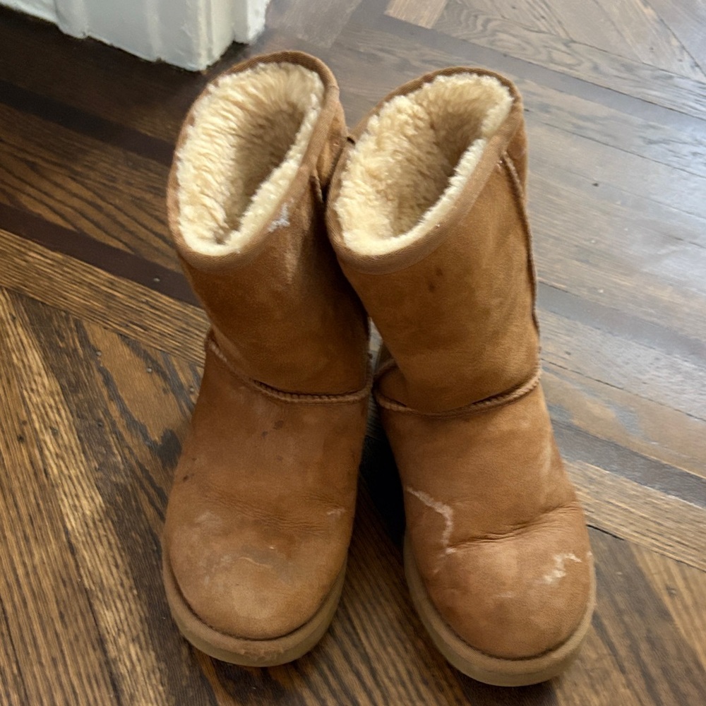 Cozy Ugg Chestnut Boots
